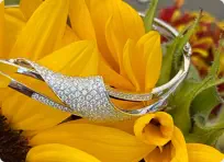 Product Photography for web catalogs or Brochures & Display Advertising