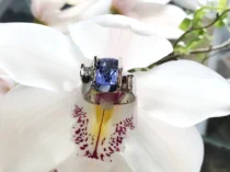 jewelllery photographers dream composition