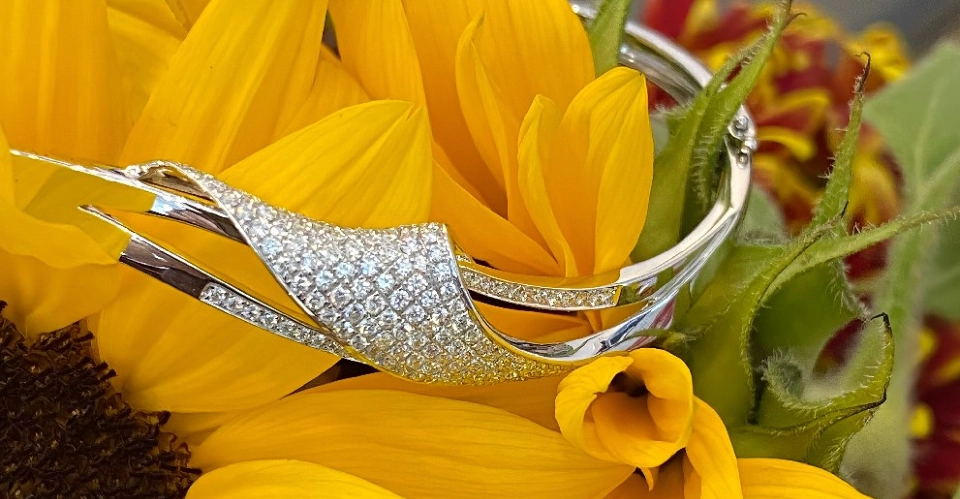 Product and Jewellery pictures for web design photography formats