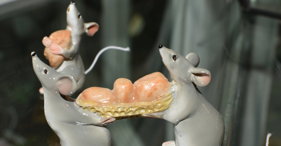 Catalogue product photography photographers