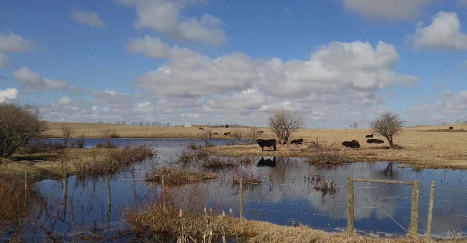 Property Pictures, Presentation Photos